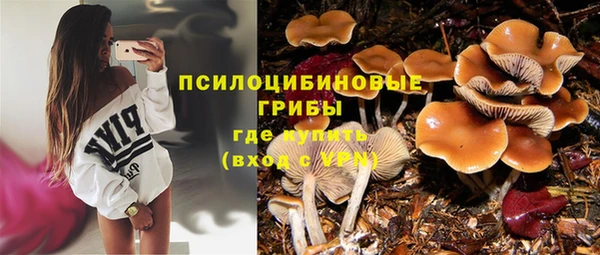 МДПВ Аркадак