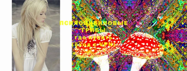 мяу мяу кристалл Арсеньев