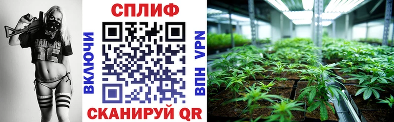 blacksprut вход  Свирск  Бошки марихуана ГИДРОПОН 